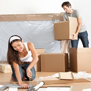 domestic shifting